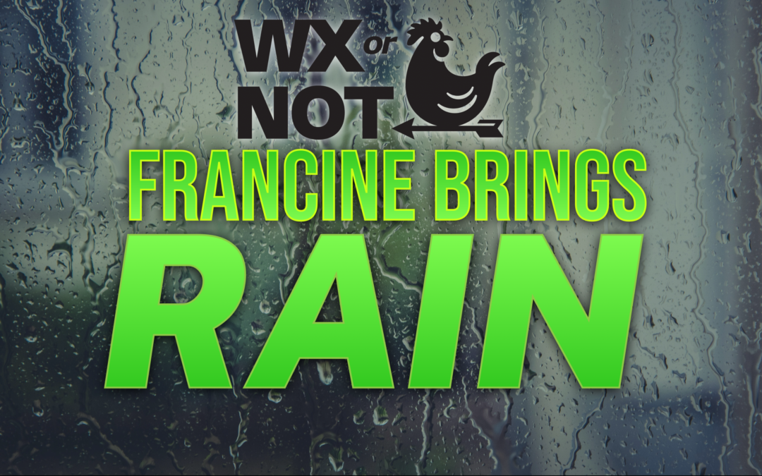 A rainy background with green text that reads "Francine brings rain"